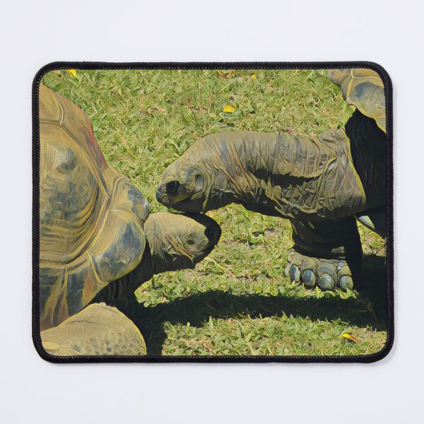 Item preview, Two Galapagos Tortoises in the Zoo designed and sold by TastyTonic.