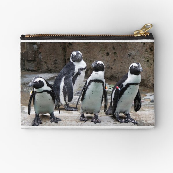 Flightless Foursome Zipper Pouch