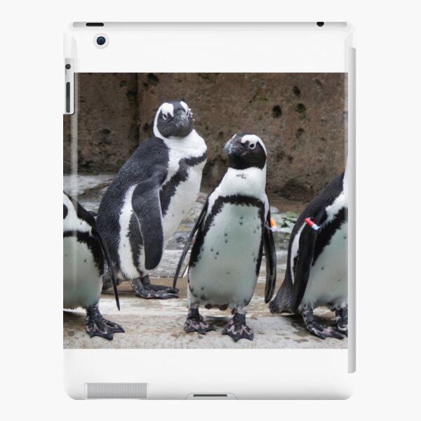 Flightless Foursome iPad Snap Case