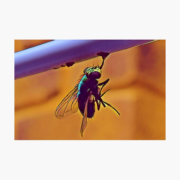 Item preview, Drunk Fly Insect Hanging on the Line designed and sold by TastyTonic.