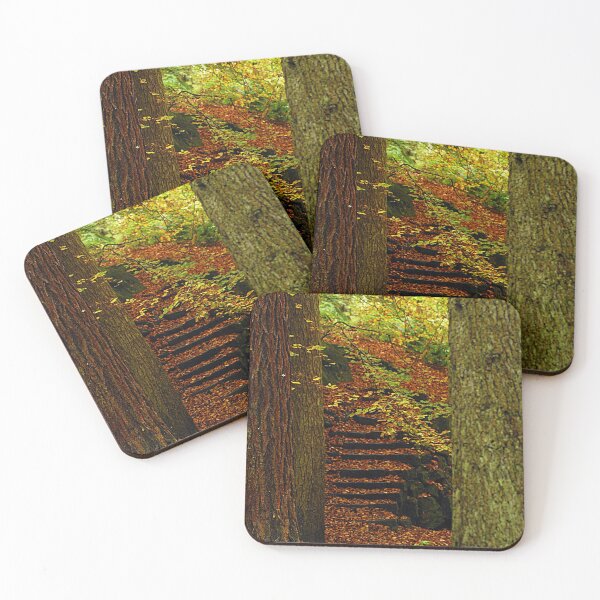 Item preview, Trunks and Steps... A way through the woods. designed and sold by Billlee.