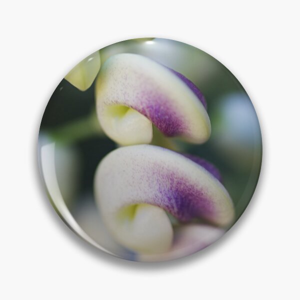 Item preview, Side View Of Corkscrew Flowers  designed and sold by Joy Watson - Natural Light Photography .