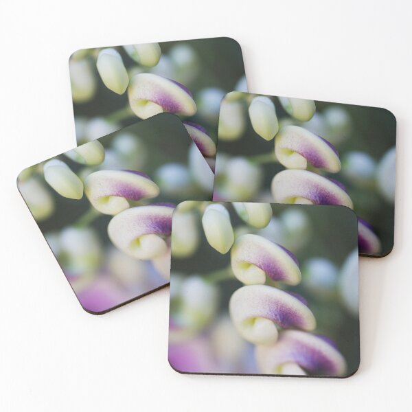 Item preview, Side View Of Corkscrew Flowers  designed and sold by Joy Watson - Natural Light Photography .