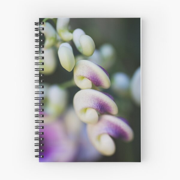 Item preview, Side View Of Corkscrew Flowers  designed and sold by Joy Watson - Natural Light Photography .