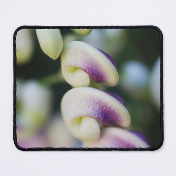 Item preview, Side View Of Corkscrew Flowers  designed and sold by Joy Watson - Natural Light Photography .