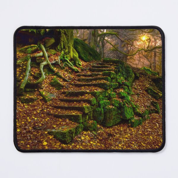 Item preview, Woodland Steps Padley Gorge designed and sold by Alisonchambers2.
