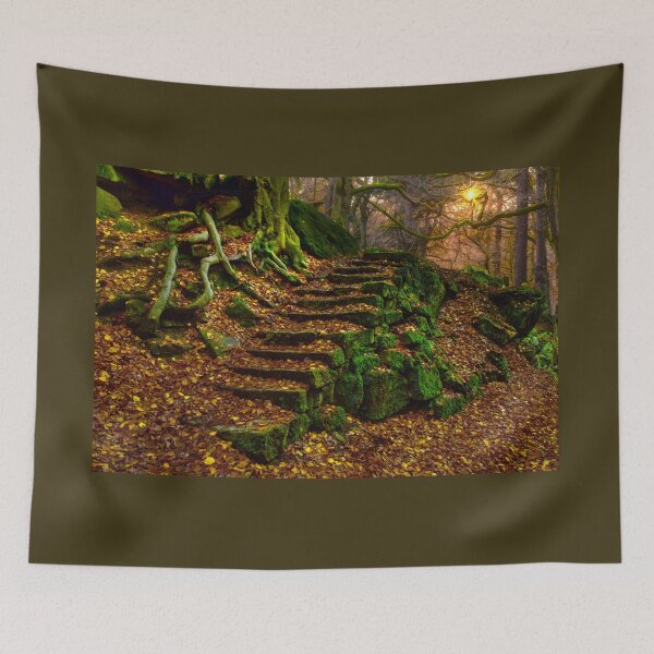 Artikelvorschau, Woodland Steps Padley-Schlucht entworfen und verkauft von Alisonchambers2.