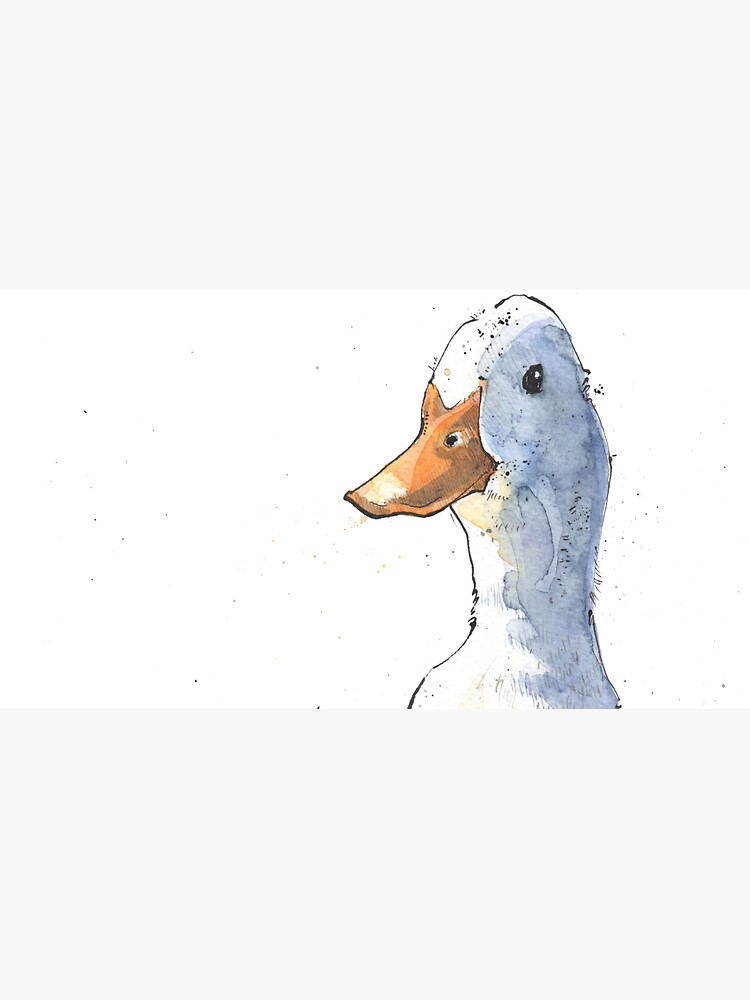 13+ Duck Pictures Drawing