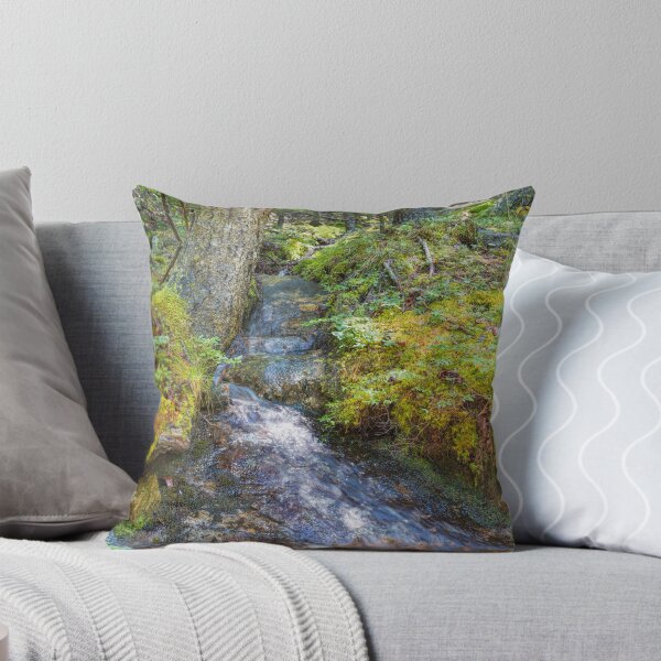 Item preview, Beech Mountain Encounter designed and sold by John Bailey.