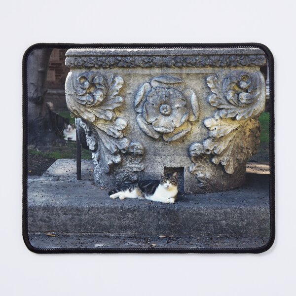 Item preview, Winston by his Well designed and sold by Nerone.