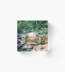 ORB In Forest Stream Acrylic Block