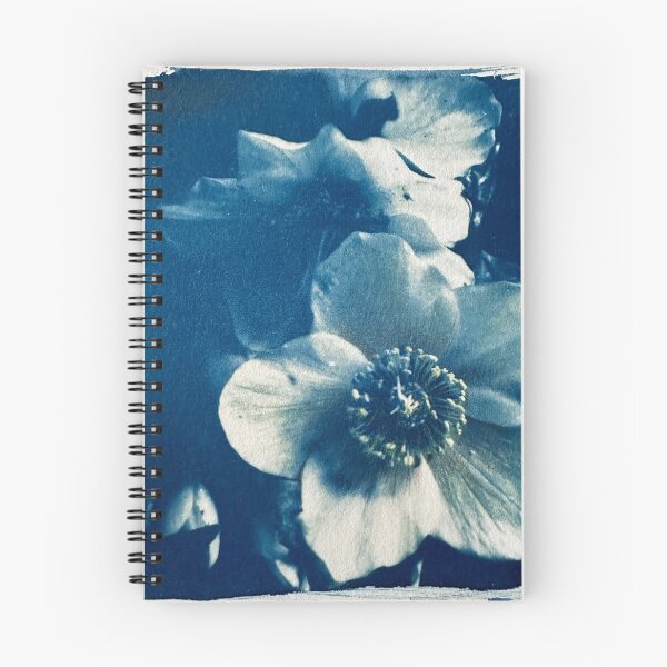 Item preview, a cyanotype flowers designed and sold by cristina iotti.