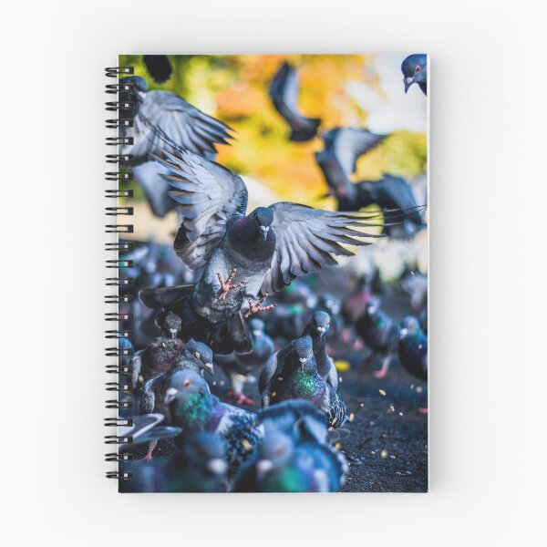 Item preview, Leazes Park Pigeons designed and sold by axp7884.