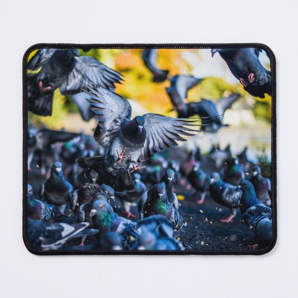 Item preview, Leazes Park Pigeons designed and sold by axp7884.