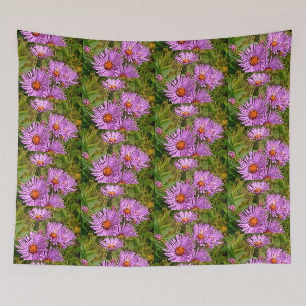 Item preview, Wild Asters designed and sold by Shulie1.