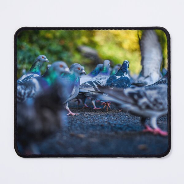 Item preview, Park Pigeons designed and sold by axp7884.