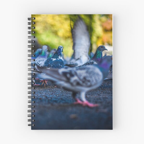 Item preview, Park Pigeons designed and sold by axp7884.