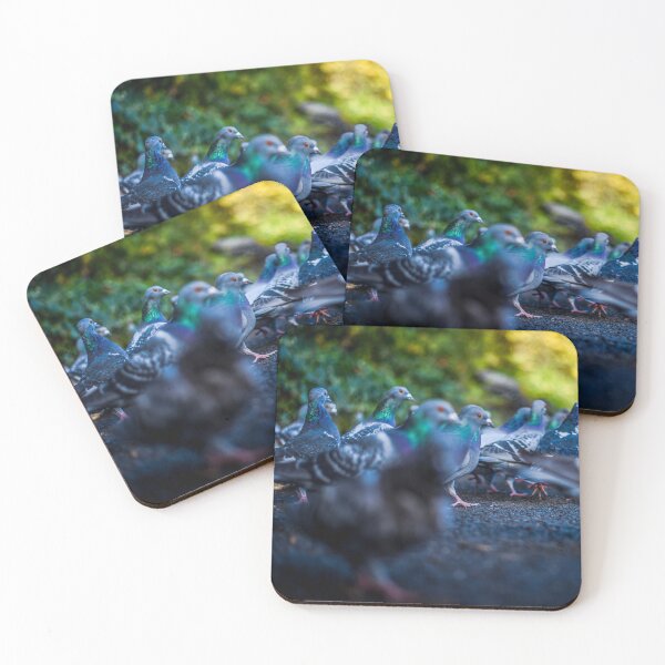 Item preview, Park Pigeons designed and sold by axp7884.