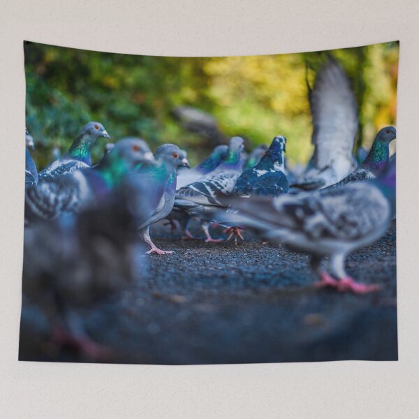 Item preview, Park Pigeons designed and sold by axp7884.
