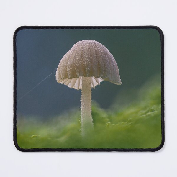 Item preview, Large White Mycena designed and sold by Ryan Dale.