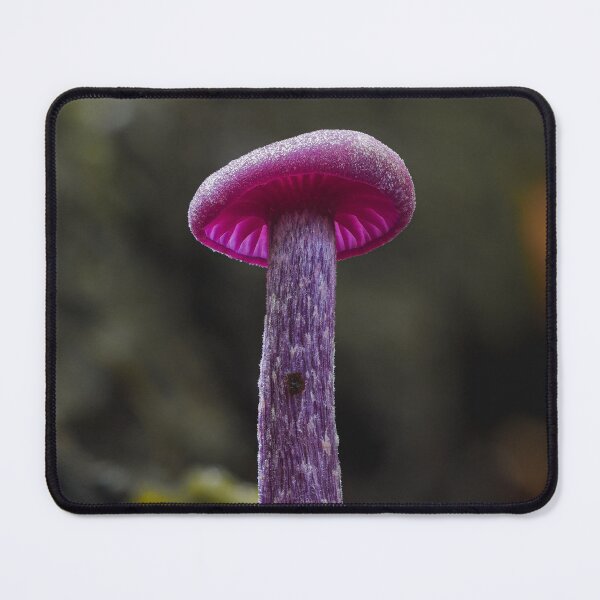 Item preview, Amethyst Deceiver Mushroom  designed and sold by Ryan Dale.