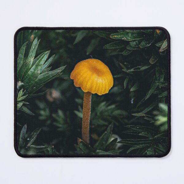 Item preview, Mushroom within the Moss designed and sold by Ryan Dale.