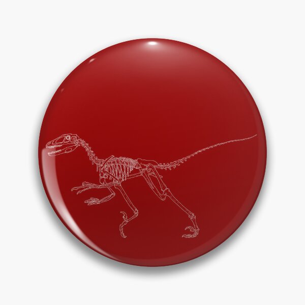 Item preview, Deinonychus skeleton designed and sold by annoton.