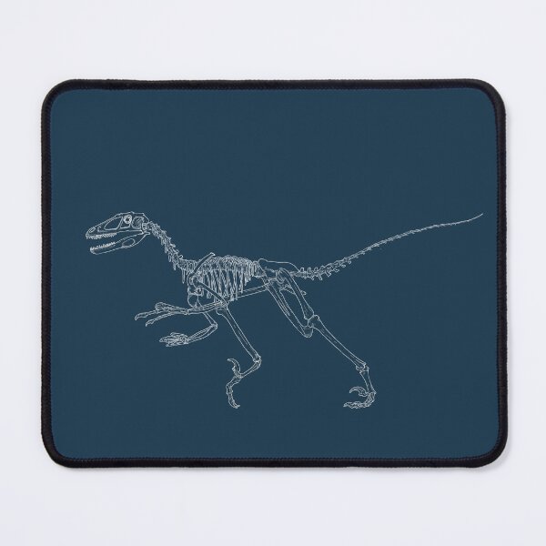 Item preview, Deinonychus skeleton designed and sold by annoton.