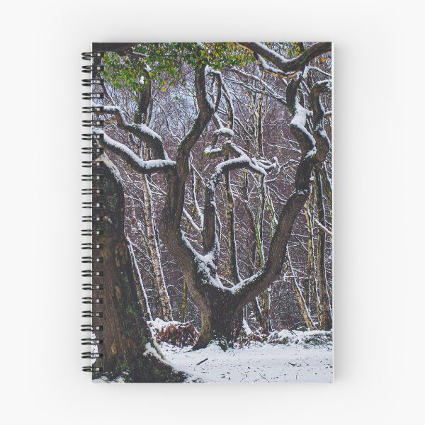 Item preview, Snowy Oak designed and sold by Ryan Dale.