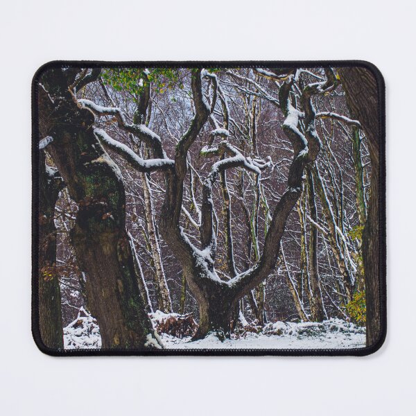 Item preview, Snowy Oak designed and sold by Ryan Dale.