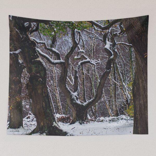 Item preview, Snowy Oak designed and sold by Ryan Dale.