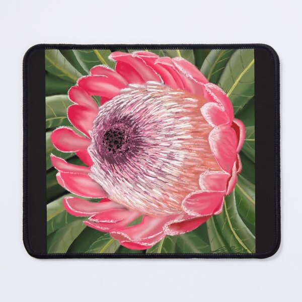Item preview, Protea Pink Ice designed and sold by DoraBlackwood.