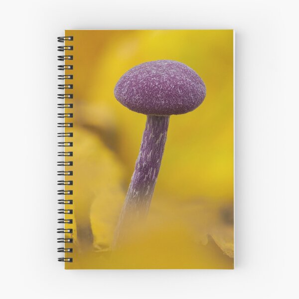 Item preview, Amethyst Deceiver  designed and sold by Ryan Dale.