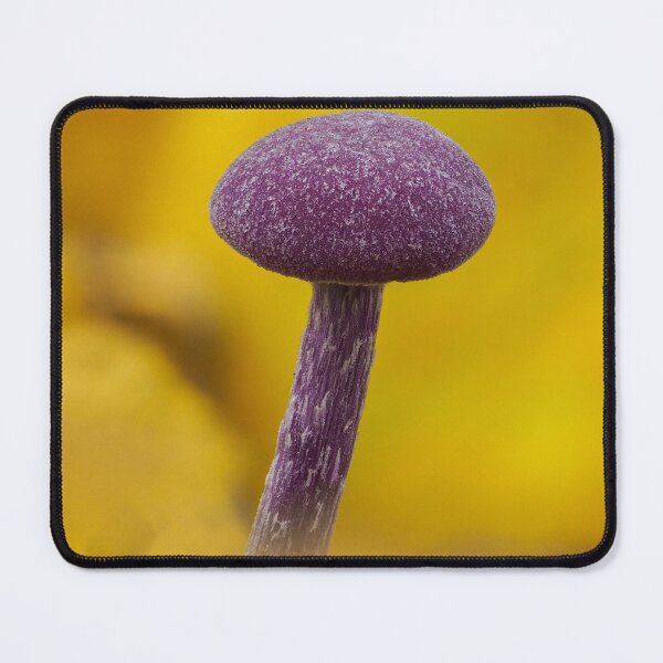 Item preview, Amethyst Deceiver  designed and sold by Ryan Dale.