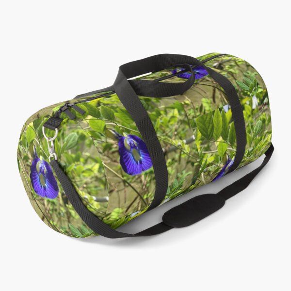 Item preview, Clitoria Ternatea - Blue Butterfly Pea Flower designed and sold by Capture  Room.