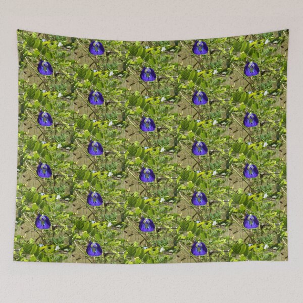 Item preview, Clitoria Ternatea - Blue Butterfly Pea Flower designed and sold by Capture  Room.
