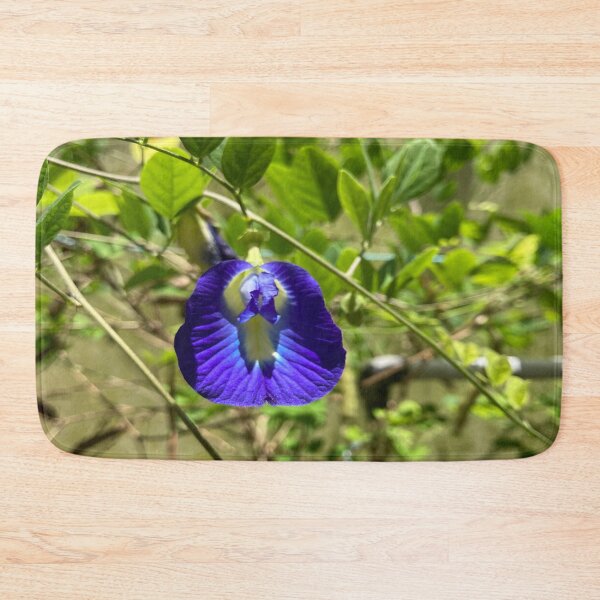 Item preview, Clitoria Ternatea - Blue Butterfly Pea Flower designed and sold by Capture  Room.
