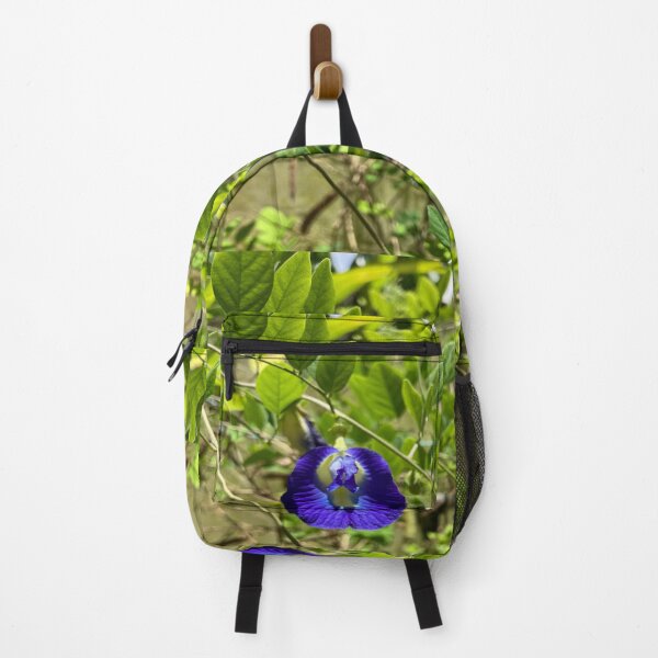 Item preview, Clitoria Ternatea - Blue Butterfly Pea Flower designed and sold by Capture Room.