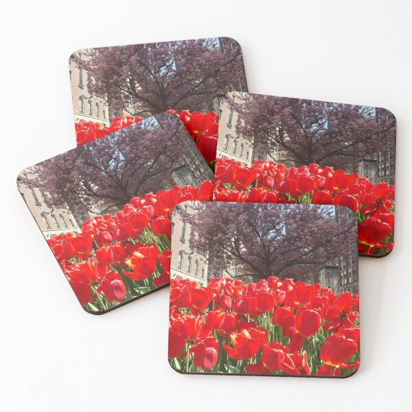 Item preview, Colorful Tulips, March, Murray Hill, New York City designed and sold by lenspiro.