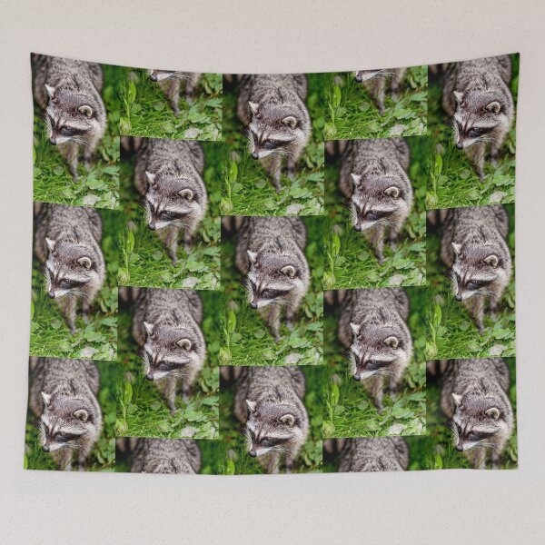 Item preview, Raccoon designed and sold by Dalyndigital Photography.