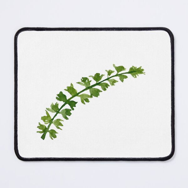 Item preview, Branch green leave watercolor illustration single object designed and sold by Yana Mustafina | Boho Soulful Designs.