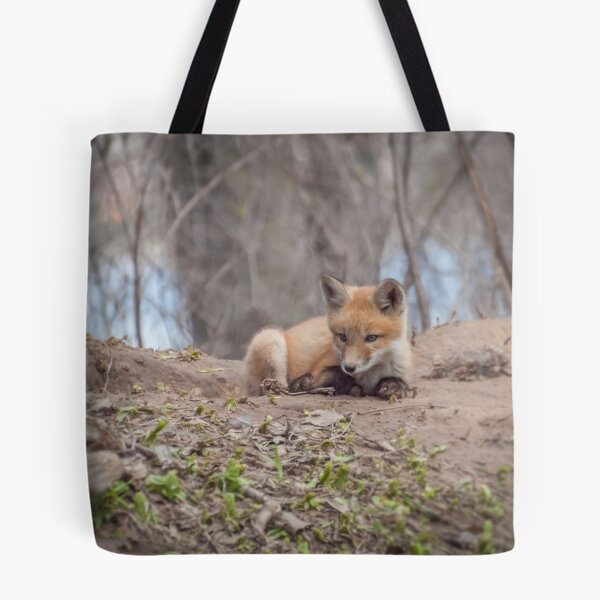 Item preview, Kit Fox 2011-2   designed and sold by Thomasyoung.