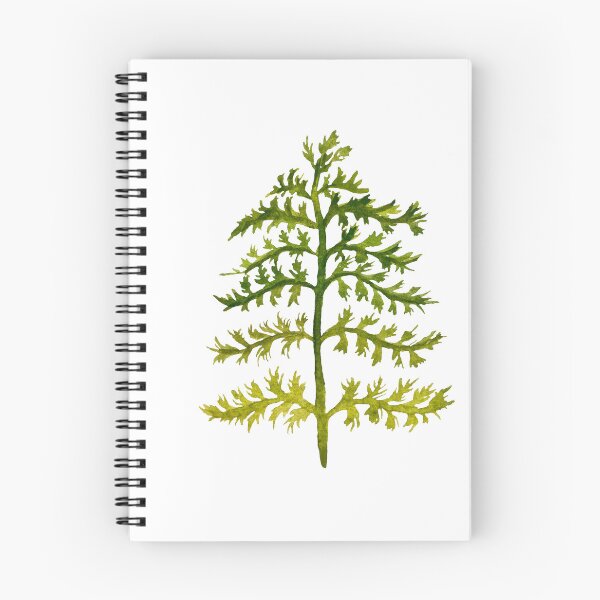 Item preview, Branches leave watercolor illustration single object designed and sold by Yana Mustafina | Boho Soulful Designs.