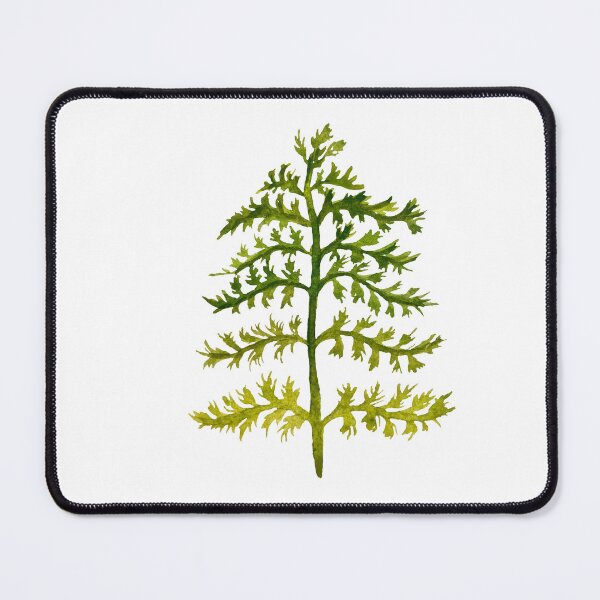 Item preview, Branches leave watercolor illustration single object designed and sold by Yana Mustafina | Boho Soulful Designs.