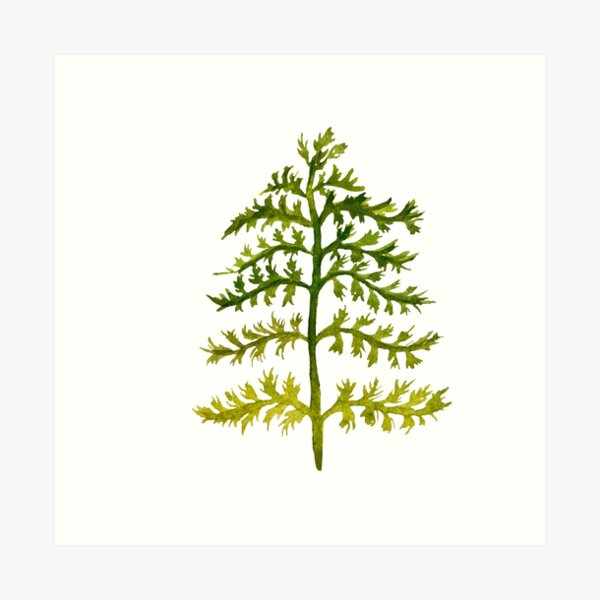 Item preview, Branches leave watercolor illustration single object designed and sold by Calligramus | Self-Love, Mental Health & Soft Feminism Design.
