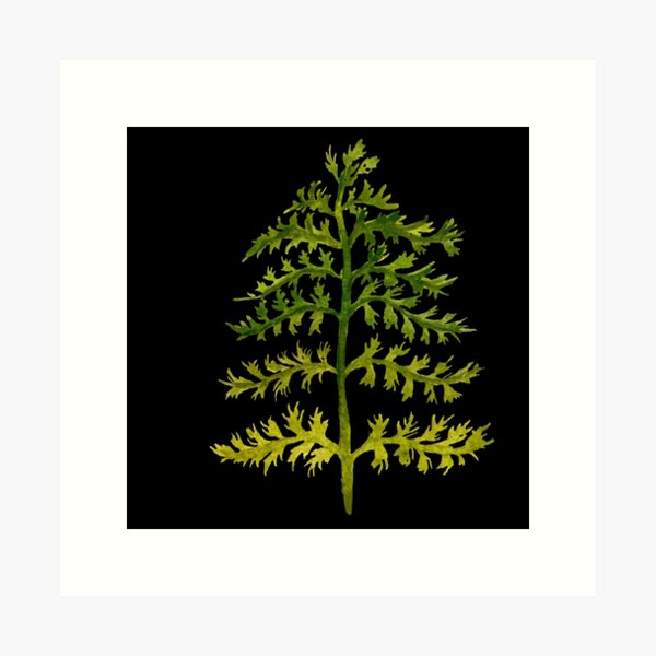 Item preview, Branches leave watercolor illustration on black background  designed and sold by Calligramus | Self-Love, Mental Health & Soft Feminism Design.