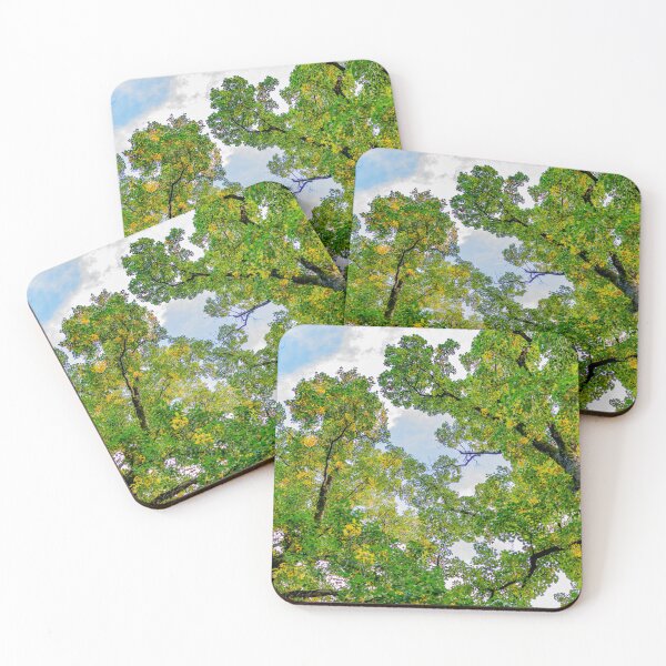 Item preview, Look at the sky! designed and sold by KGPhotoArt.