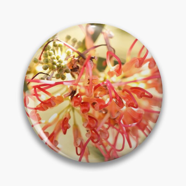 Item preview, Winpara Sunrise Grevillea designed and sold by imaginethis.