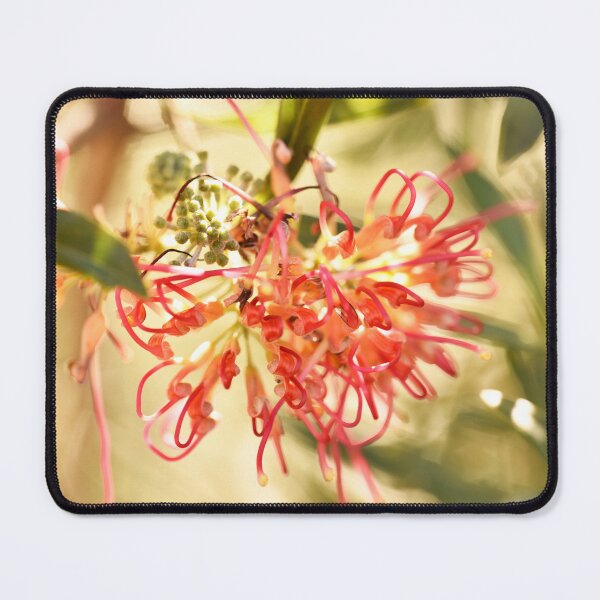 Item preview, Winpara Sunrise Grevillea designed and sold by imaginethis.