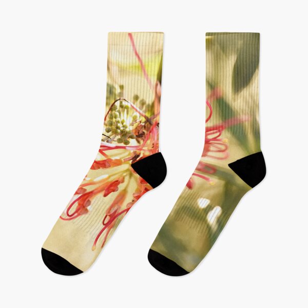 Item preview, Winpara Sunrise Grevillea designed and sold by imaginethis.